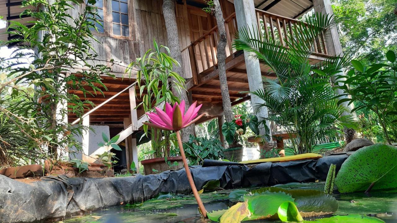 Ruk Sewana Villa Tree House Sigiriya Exterior photo