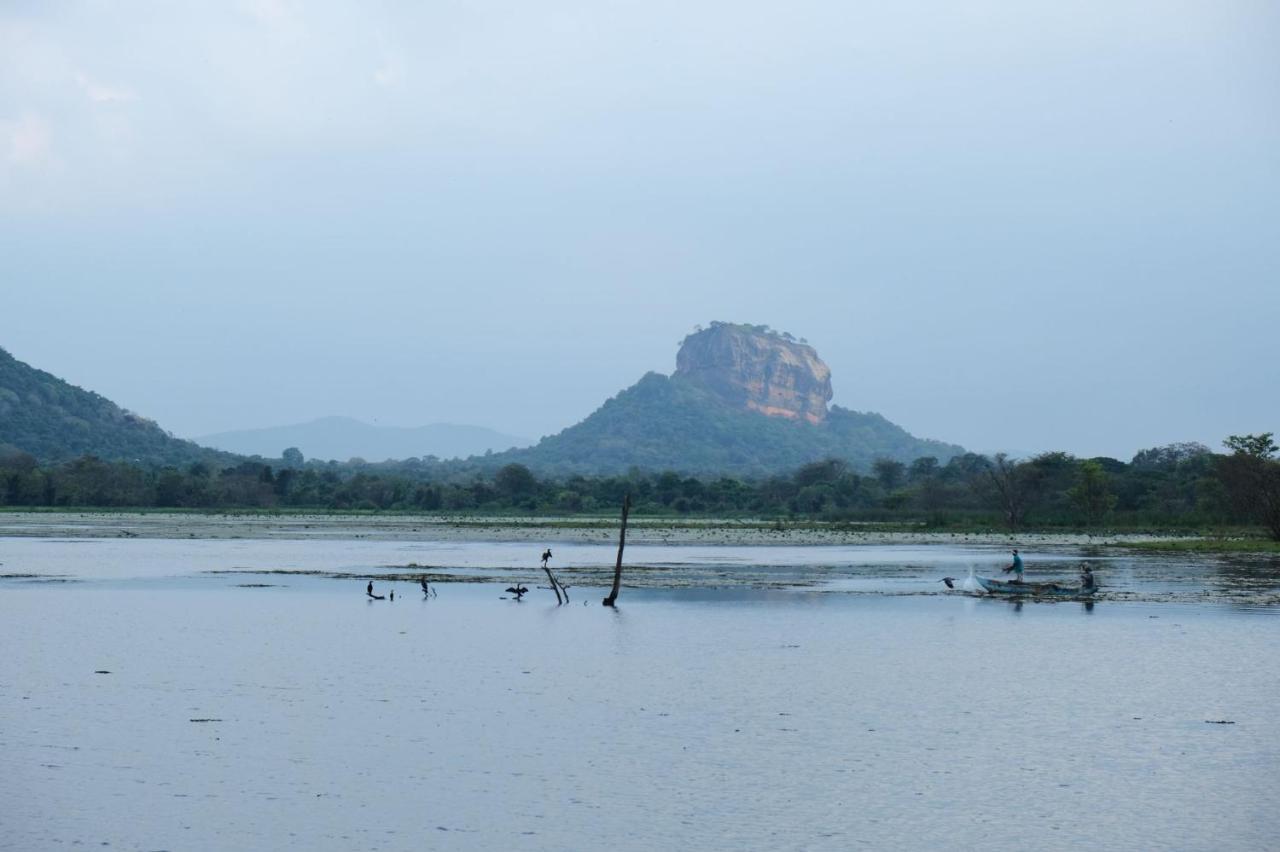 Ruk Sewana Villa Tree House Sigiriya Exterior photo
