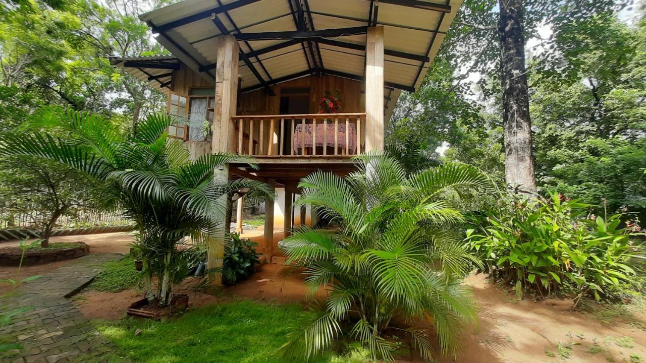 Ruk Sewana Villa Tree House Sigiriya Exterior photo